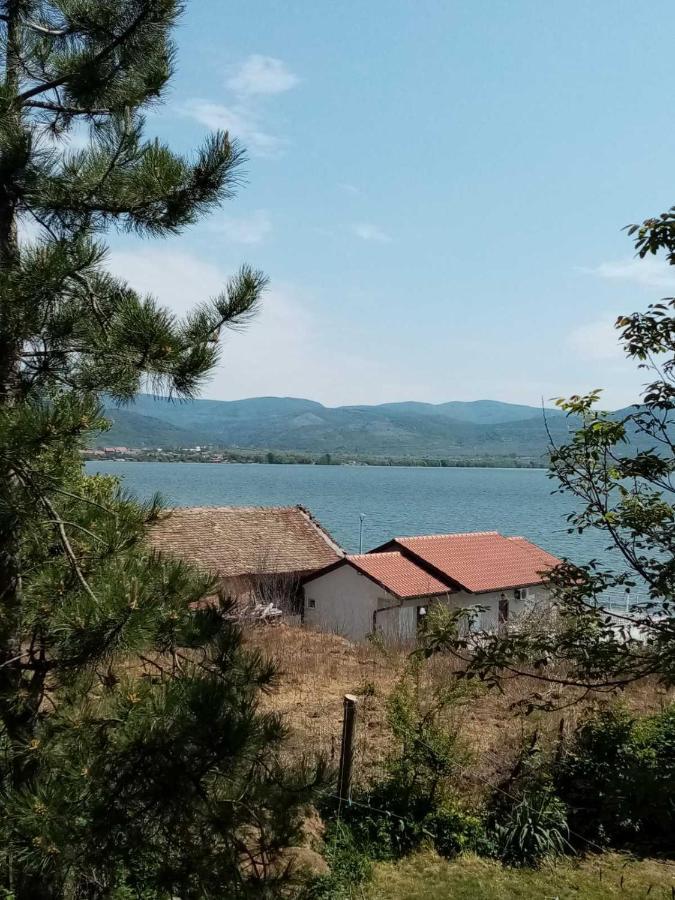Family Apartman Ana - Star Golubac Eksteriør billede