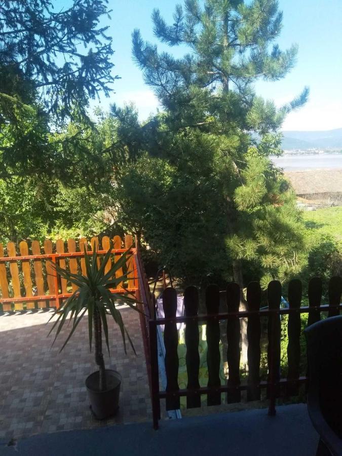 Family Apartman Ana - Star Golubac Eksteriør billede
