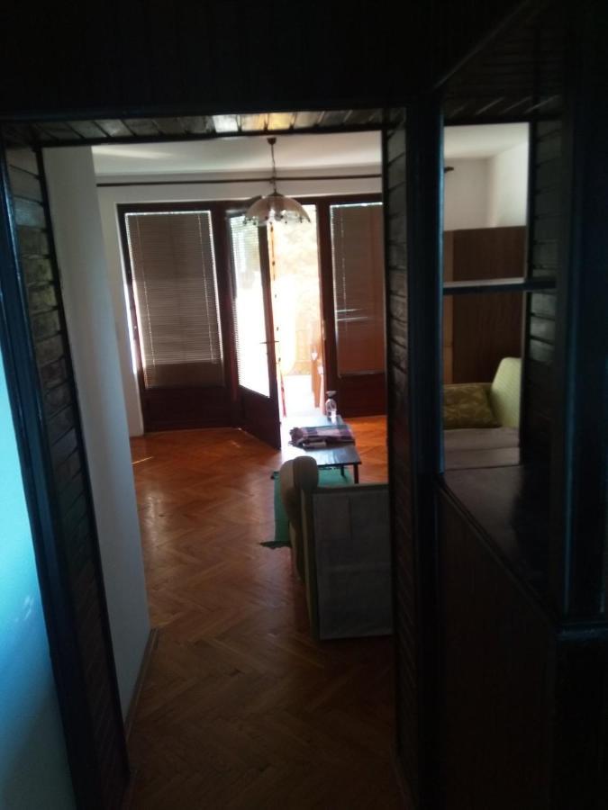 Family Apartman Ana - Star Golubac Eksteriør billede