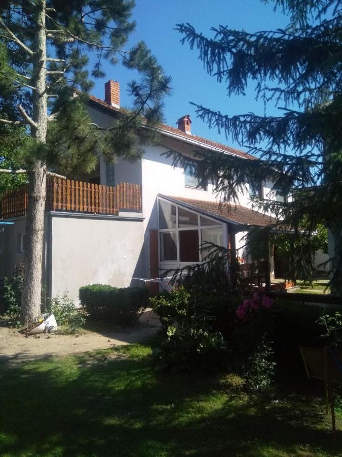 Family Apartman Ana - Star Golubac Eksteriør billede