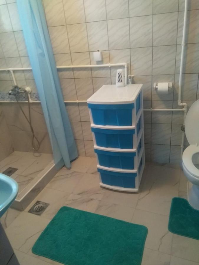 Family Apartman Ana - Star Golubac Eksteriør billede