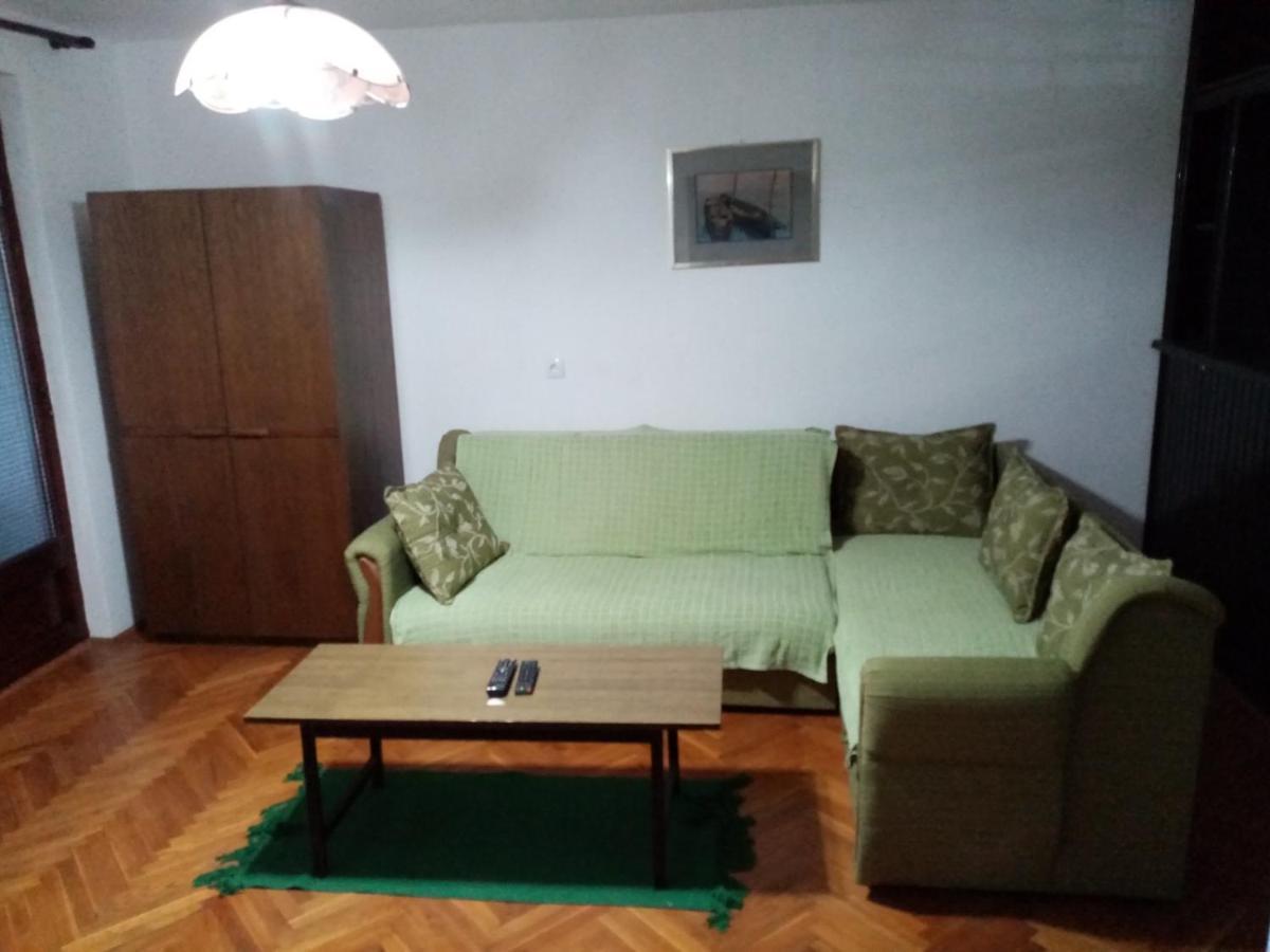 Family Apartman Ana - Star Golubac Eksteriør billede