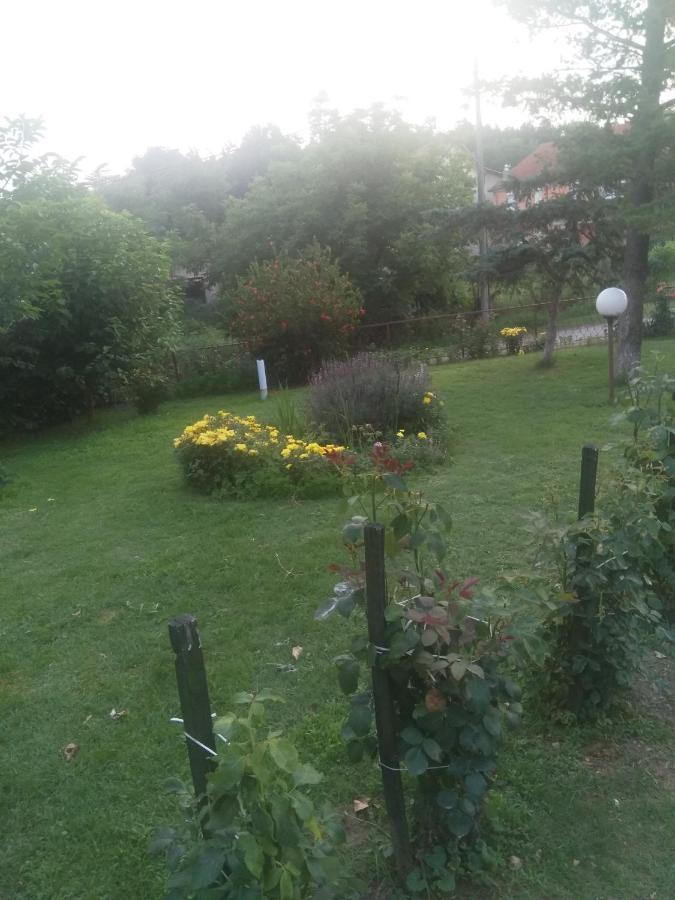 Family Apartman Ana - Star Golubac Eksteriør billede