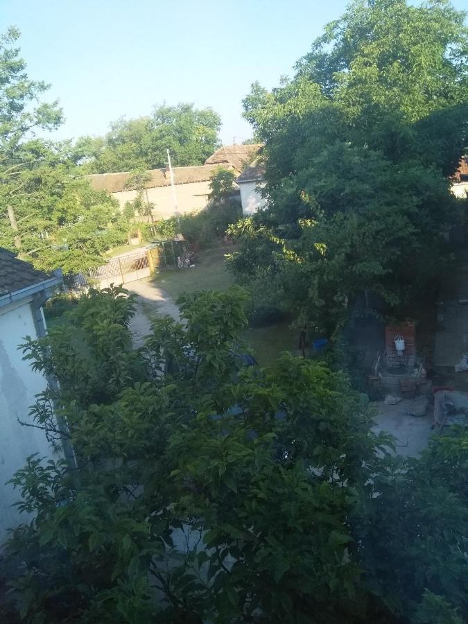 Family Apartman Ana - Star Golubac Eksteriør billede