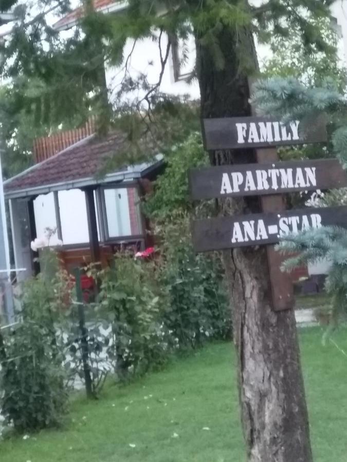 Family Apartman Ana - Star Golubac Eksteriør billede